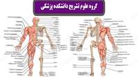 اولین جلسه گروه آموزشی علوم تشریحی در آغاز ترم تحصیلی جدید