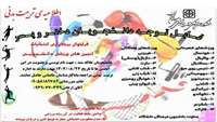 انتخابات انجمن های ورزشی دانشجویی