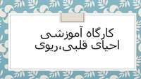 فراخوان برگزاری کارگاه آموزشی احیای قلبی ،ریوی